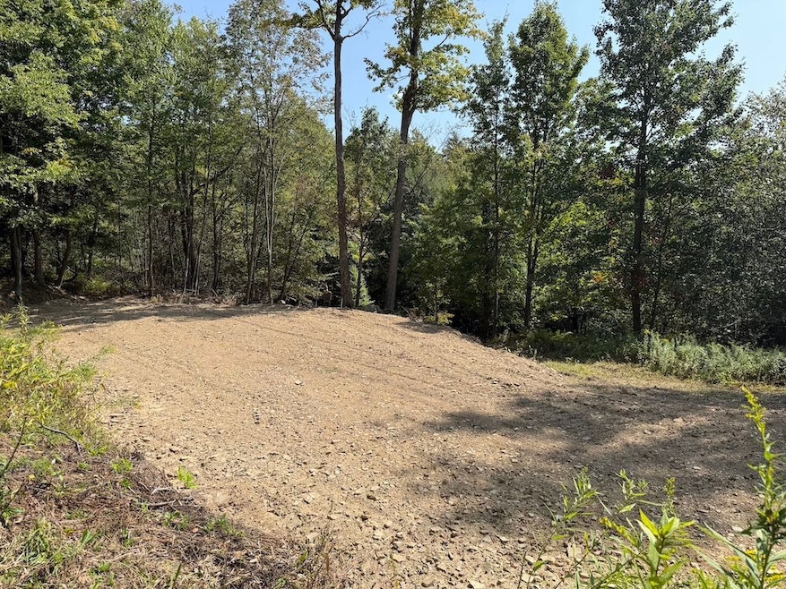 0 Alma Hill Rd unit LotWP001 24749380, Alma, NY 14895 - photo 1