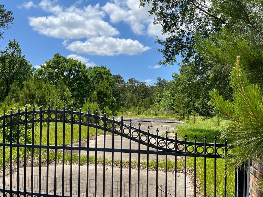 28207 Ascot Farms Rd, Magnolia, TX 77354 - photo 1