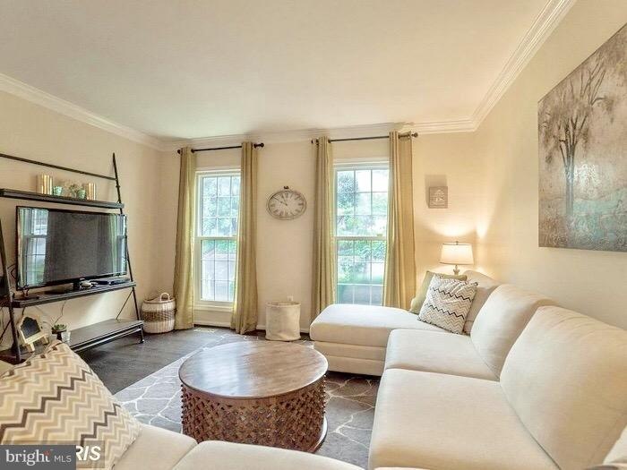 5003 Domain Place, Alexandria, VA 22311 - photo 1