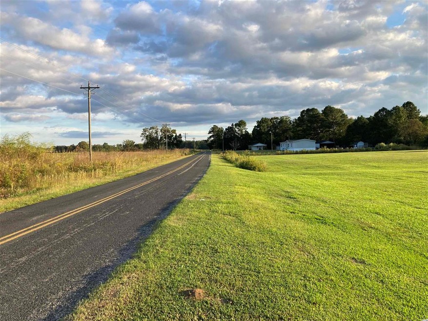 TBD State Road S-26-1019, Conway, SC 29527 - photo 1