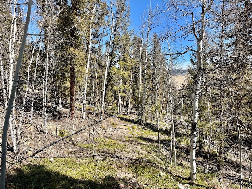 2834 Middle Fork, Fairplay, CO 80440 - photo 1