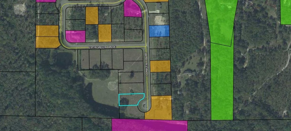 0 Conifer Ct unit 309891, Crawfordville, FL 32327 - photo 1