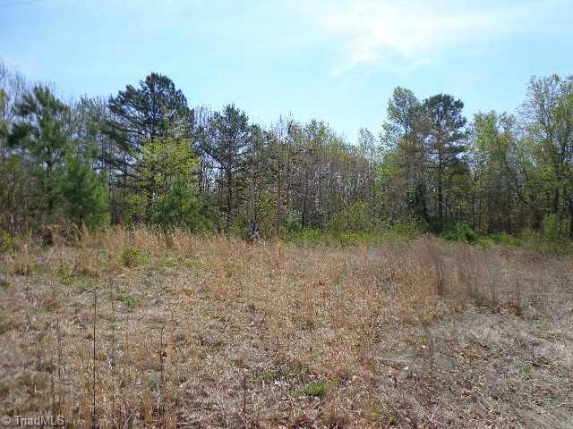 3055 Burney Rd, Asheboro, NC 27205 - photo 1