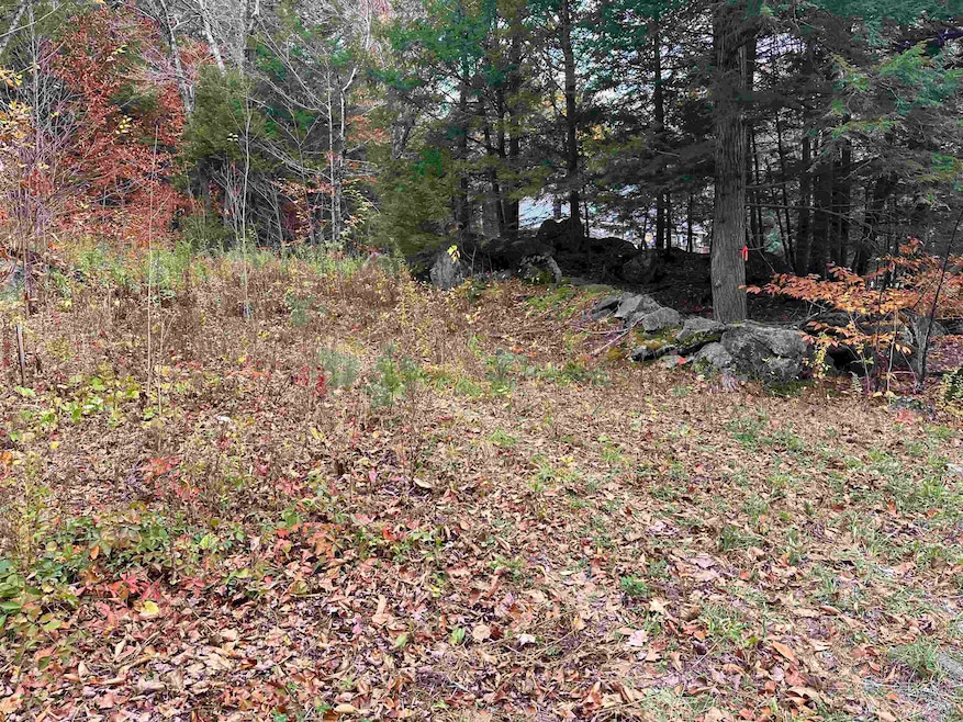 102 Colburn Farm Rd, Newbury, NH 03255 - photo 1