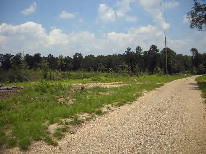 0 Willie Ball Rd, Tylertown, MS 39667 - photo 1