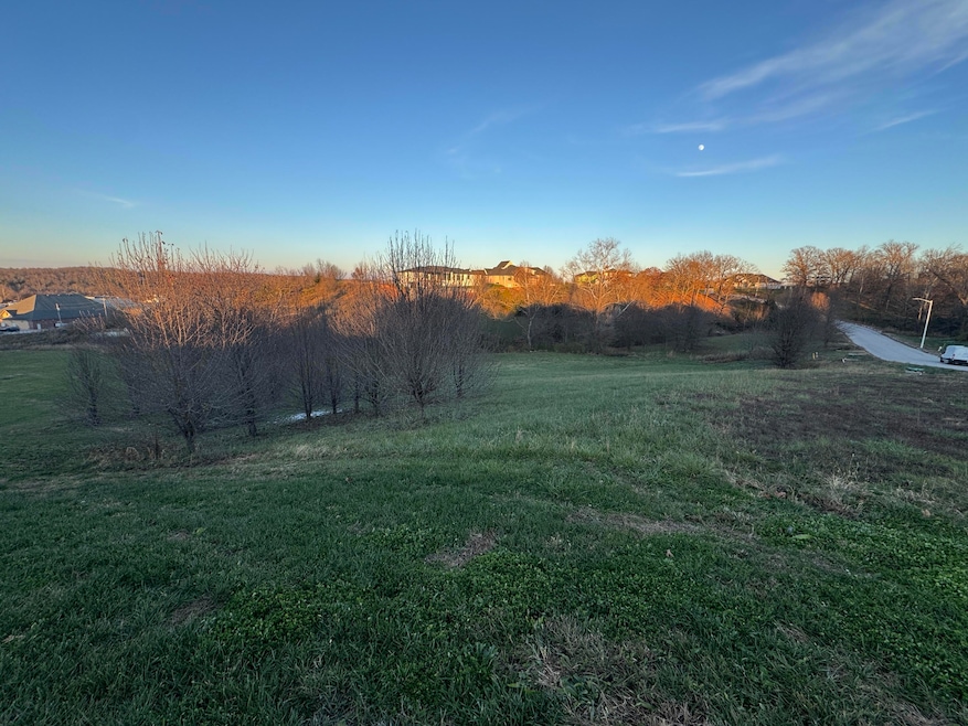 Lot 22 Tuscany Hills, Nixa, MO 65714 - photo 1
