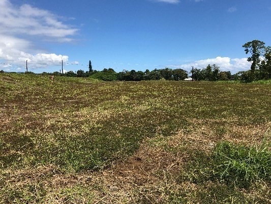 1008 Kahua Kolepa St, Hilo, HI 96720 - photo 1