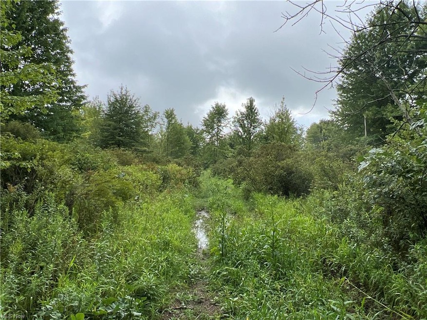 0 S Denmark Rd, Jefferson, OH 44047 - photo 1