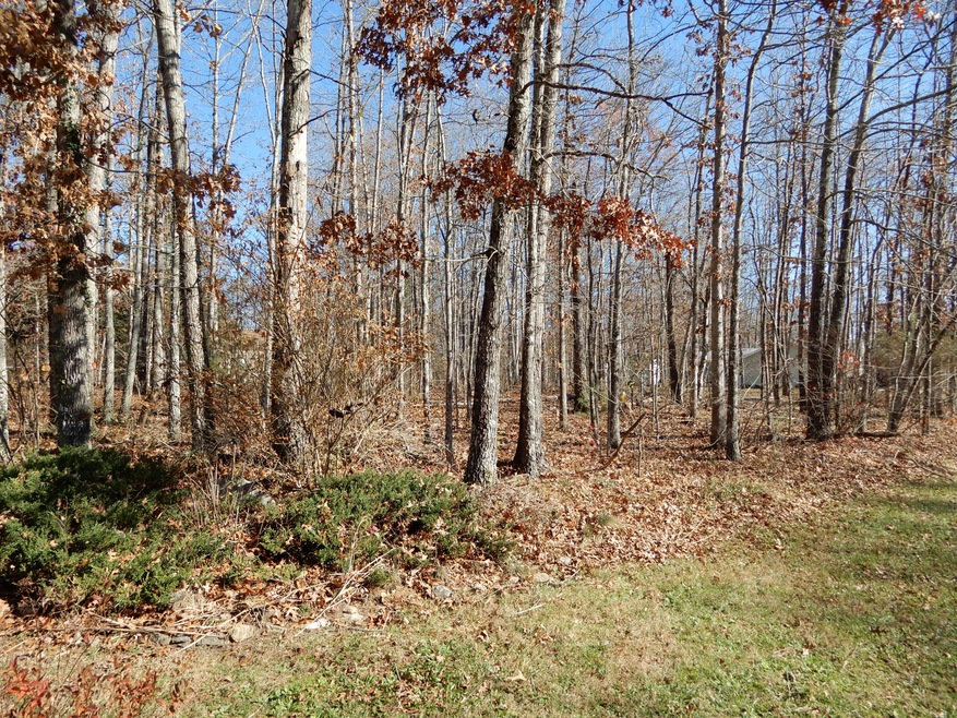 247 Saint George Dr, Crossville, TN 38558 - photo 1