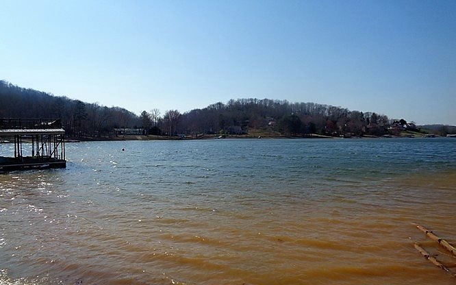 Main View