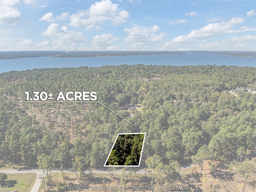 Lot 5 Pintail Dr, Flint, TX 75762 - photo 1