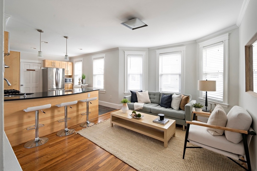 18 Rice St unit 2, Cambridge, MA 02140 - photo 1