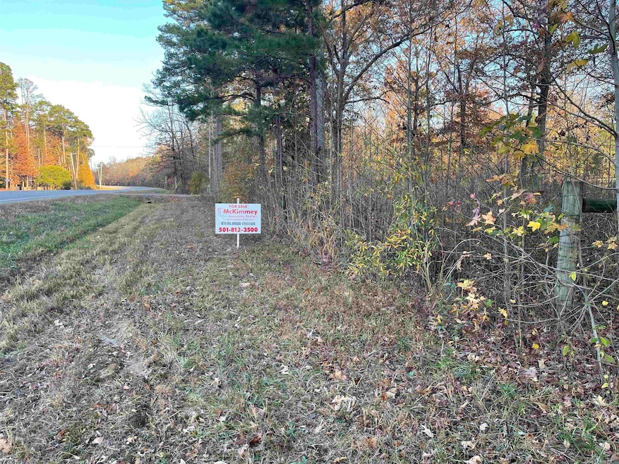 0 Hwy 10 unit 25046430, Perryville, AR 72126 - photo 1