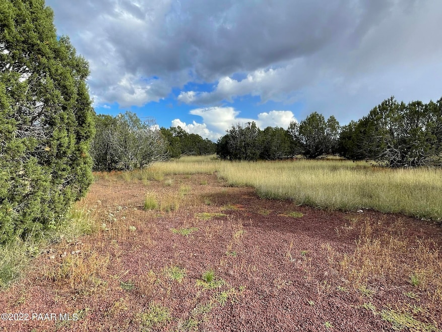 3289 Gerry Ln, Ash Fork, AZ 86320 - photo 1