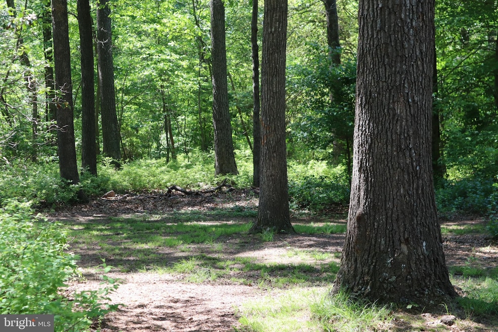 1919 Montevideo Rd, Jessup, MD 20794 - photo 1