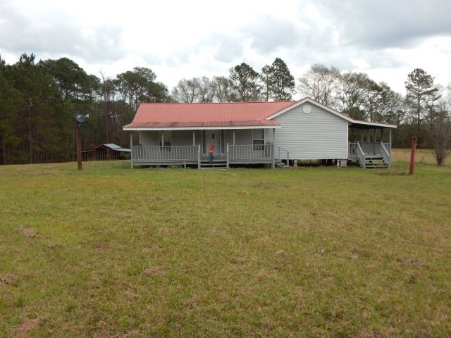 Main View