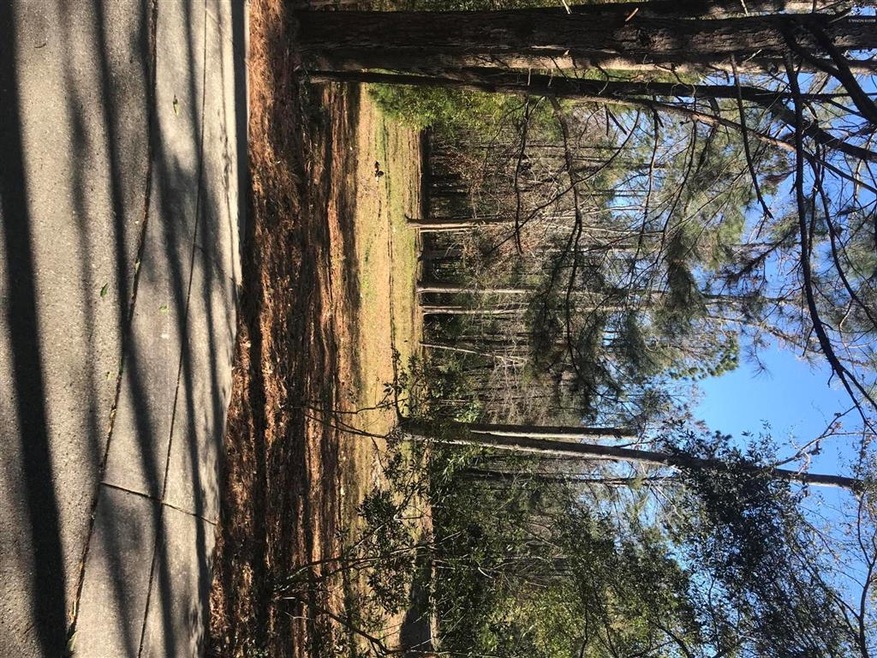 3008 Sunnybranch Dr, Wilmington, NC 28411 - photo 1