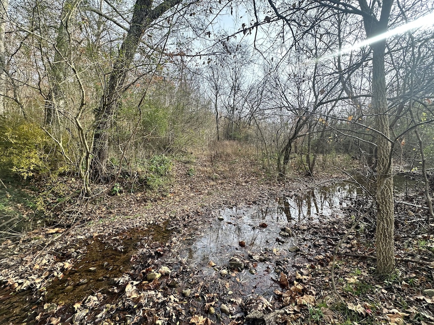 210 Trotter Rd, Waverly, TN 37185 - photo 1