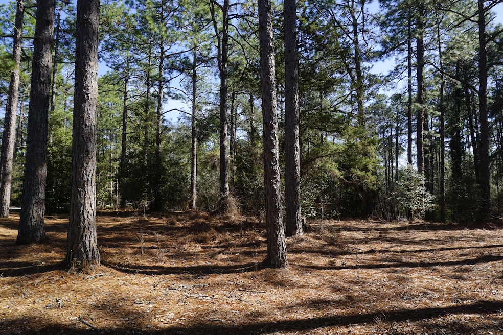15 Quail Run