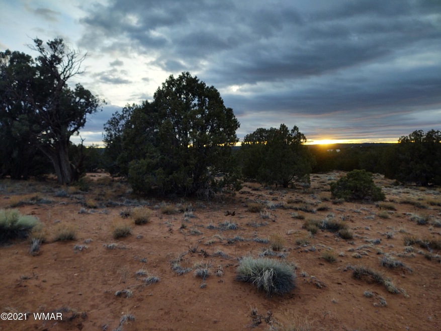 20 acres with electric and water avail