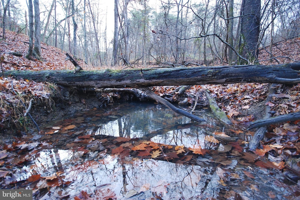 Lot 29 & 30 Staubwoods Dr, Romney, WV 26757 - photo 1