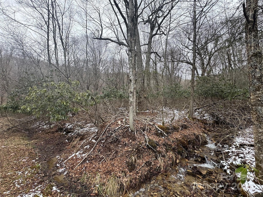 640 Hemlock Ln, Mars Hill, NC 28754 - photo 1