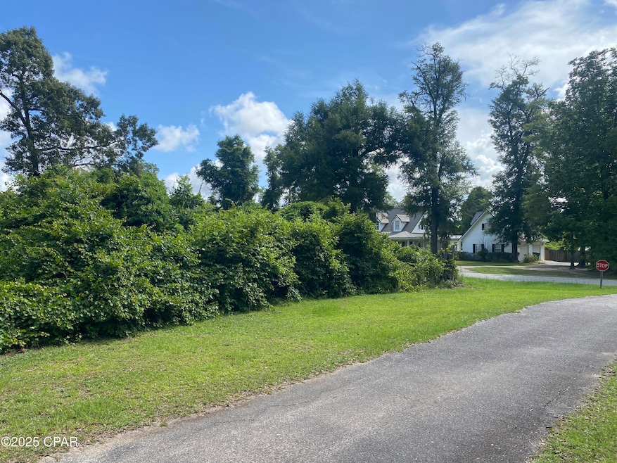 0000 Magnolia Blossom Ln unit 2, Marianna, FL 32446 - photo 1