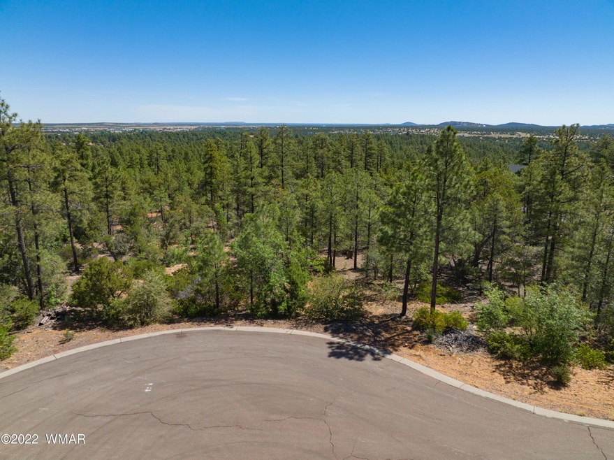 1680 S Twin Peak Trail, Show Low, AZ 85901 - photo 1