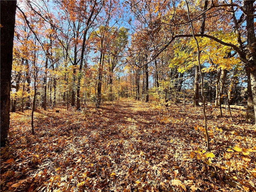 21710 Wc 274, Winslow, AR 72959 - photo 1