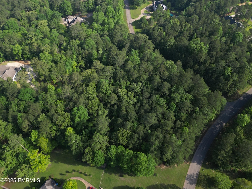 DJI_0221