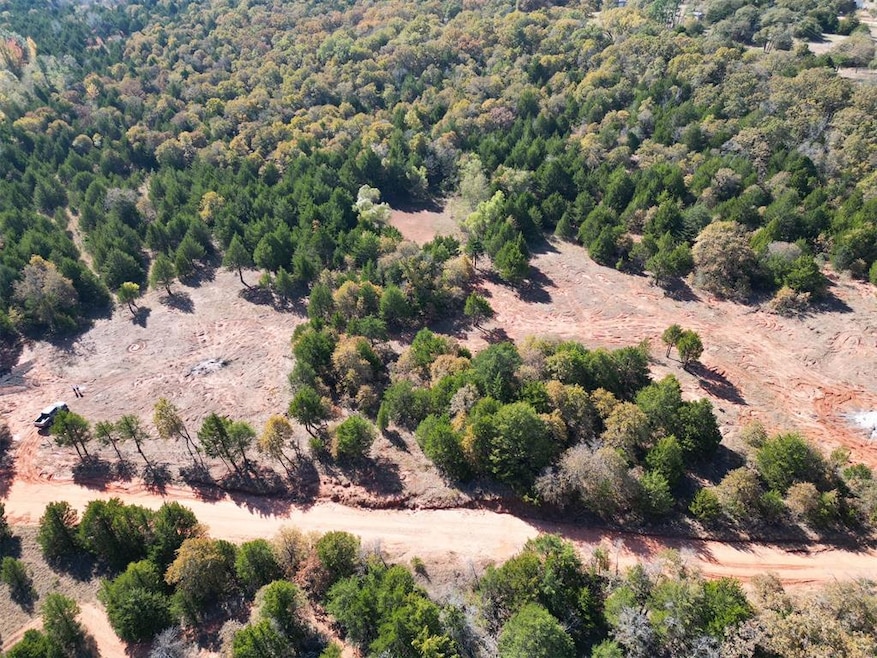 4 Discouraging Word Way, Luther, OK 73054 - photo 1