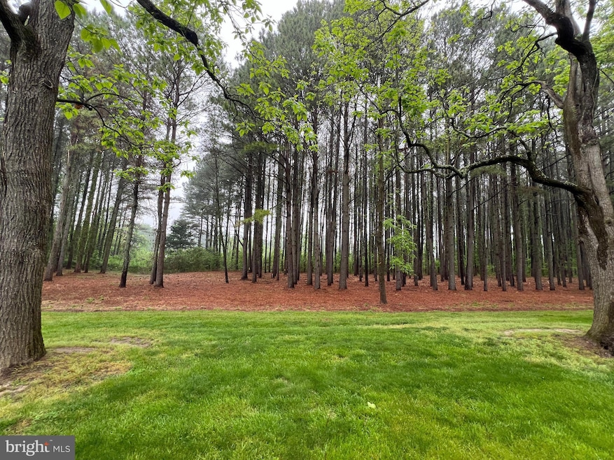 Lot A Catalpa Point Rd, Easton, MD 21601 - photo 1