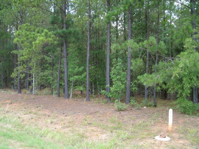LOT 48 Stillwater, Lincolnton, GA 30817 - photo 1