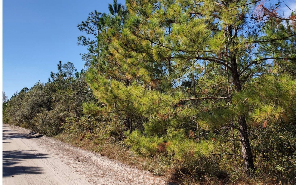 0 County Line Rd unit 121590, Lee, FL 32059 - photo 1