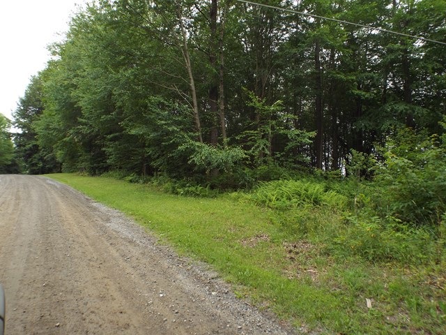 Main View
