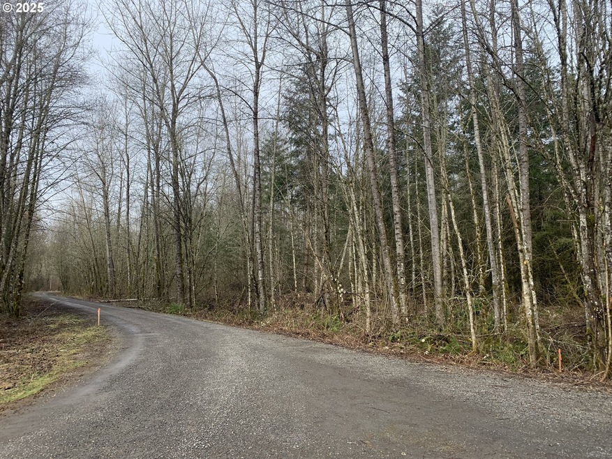 0 NE 84th Ave unit 169218533, Battleground, WA 98604 - photo 1