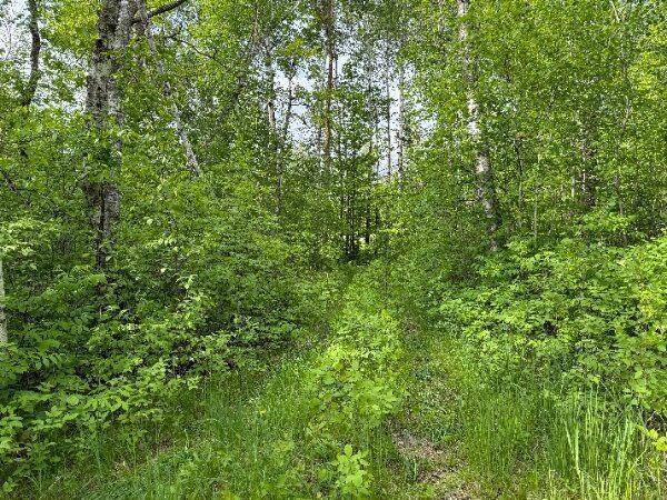 Pending $62,000