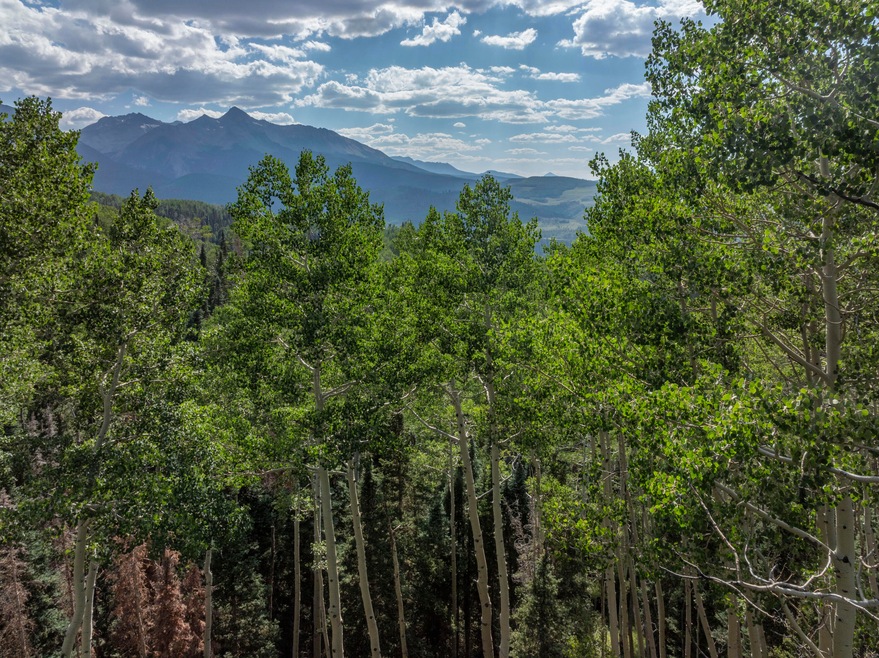 Homesite Views