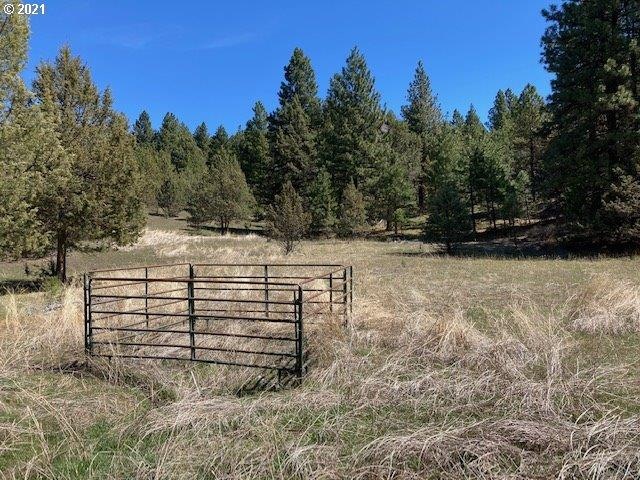 0 Nans Rock Rd unit 21028873, Mount Vernon, OR 97865 - photo 1