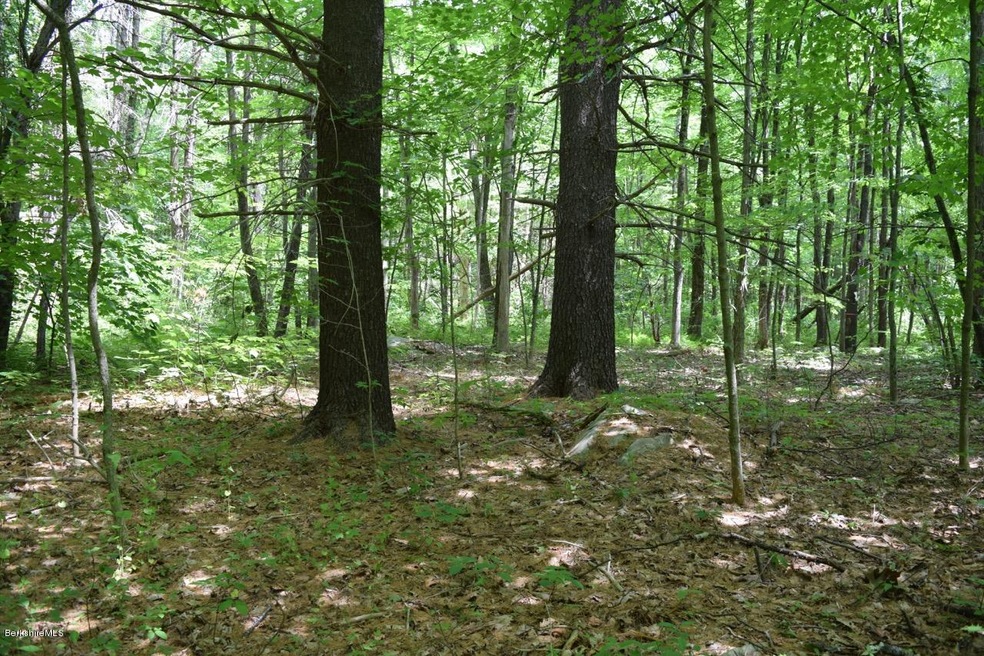 unlisted-address, Great Barrington, MA 01230 - photo 1