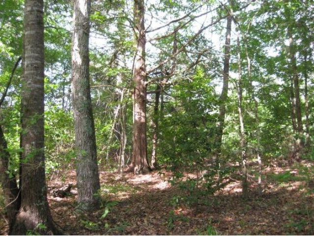 67.44 ac Cr 713, Nacogdoches, TX 75964 - photo 1