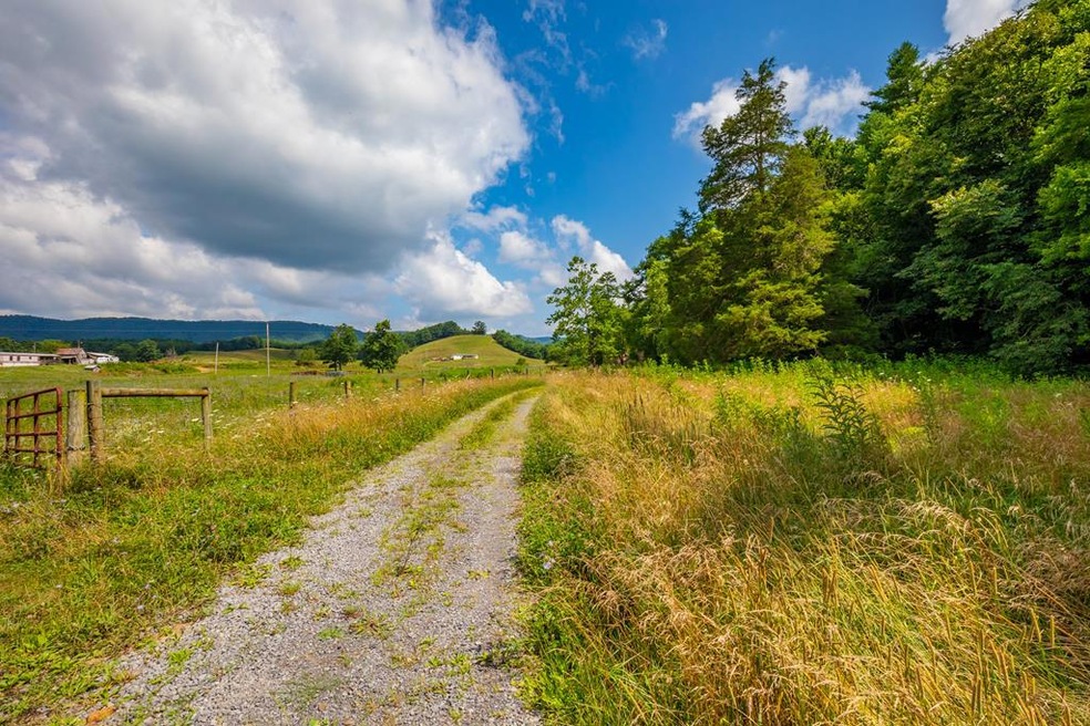 TBD Kimberling Rd, Bland, VA 24315 - photo 1