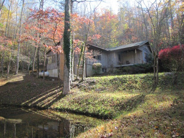 Main View