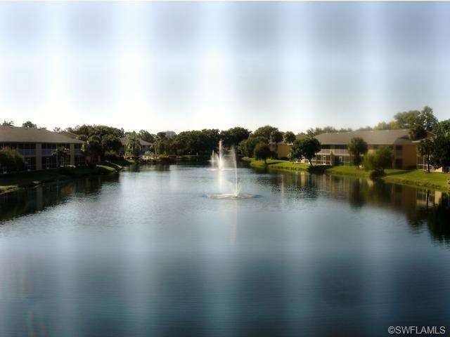 Long Lake View