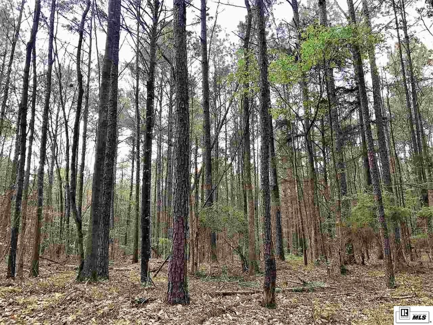 000 Whitehead Rd, Choudrant, LA 71227 - photo 1