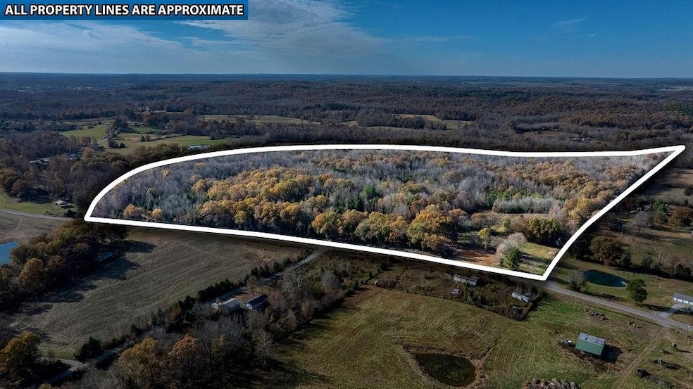 6301 Rochester Rd, Drakesboro, KY 42337 - photo 1