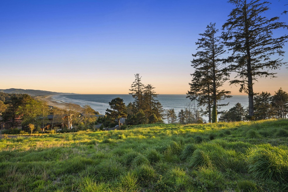 2-web-or-mls-DSC07657