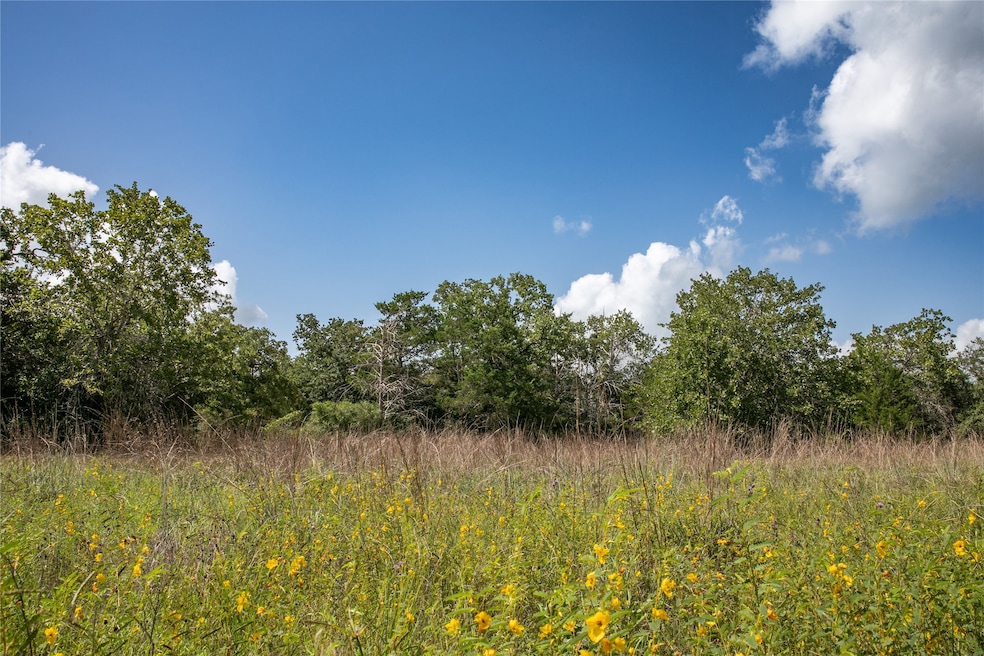 For Sale $699,000 • Co-Listing Agent