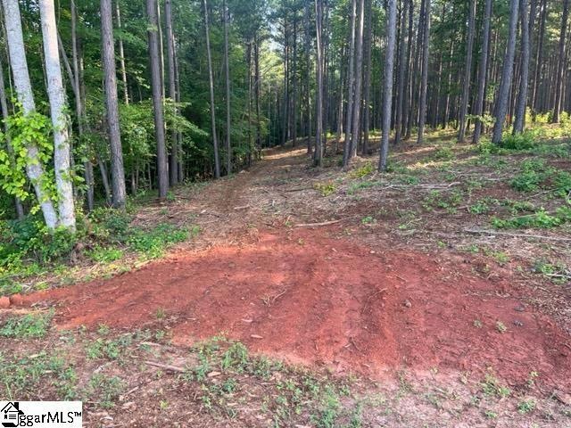 0 Manus Chapel Rd unit 1504435, Mill Spring, NC 28756 - photo 1