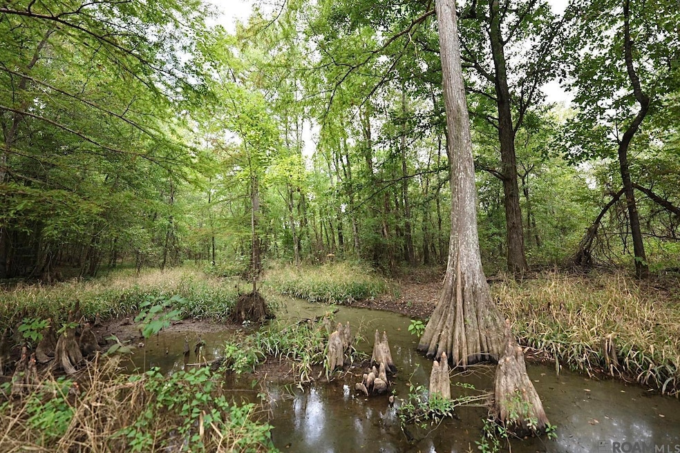 211 Fred Rogers Rd, Montgomery, LA 71454 - photo 1